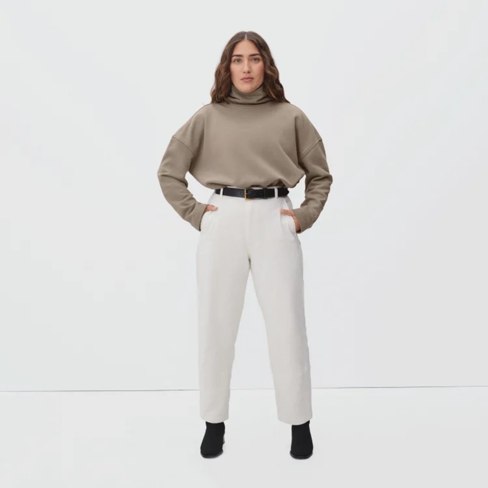Everlane The Turtleneck Boxy Sweater Womens Size M